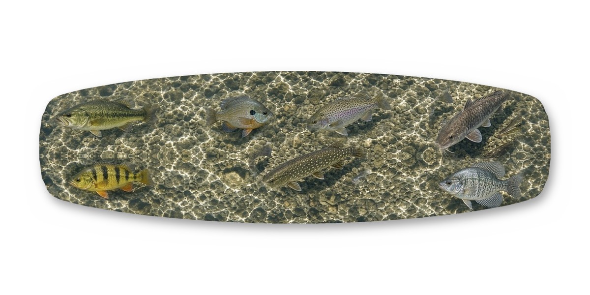 Hidden Fish wakeboard with boots, studio shot on white, Lake Life collection